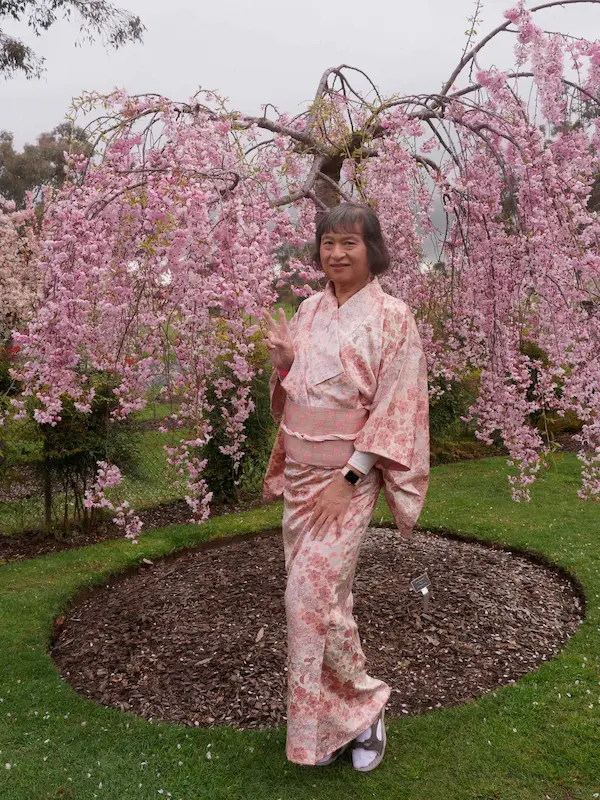 Sakura Matsuri (5)